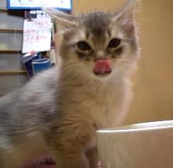 満更でもなかった！？