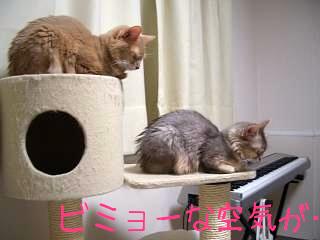 微妙な空気が…