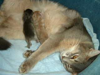 （*´▽｀*）よく頑張りました♪