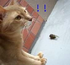 おぉ、思い出した！