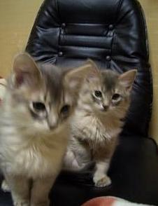 ここでも眠いの