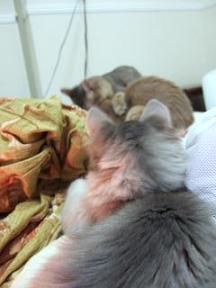 あっ(／▽＼)♪