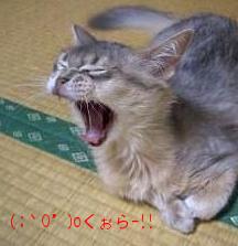 むくちゃんヽ( ´O｀)ゞﾌｧｰｧ