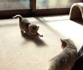 お茶目なきん君♪