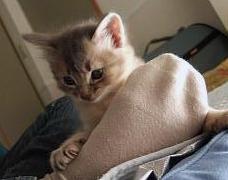 俺が銀だ～っ！！