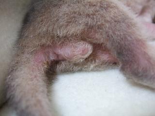 豪華３点セット