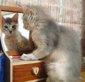 お母さん、新しいお友達が！！