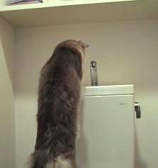 パンチしています☆