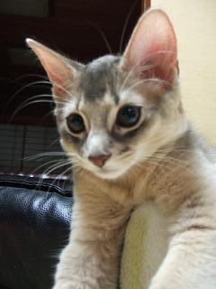 少し遊びつかれてきたのだ