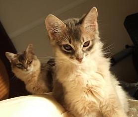 今度は写った！？