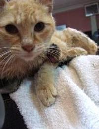 ちょっとビビってます(；￣∇￣)