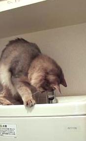 覗き込んでます～。