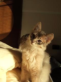 仕事に早くいきなよって思われてるかも