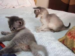 心配するのだ～（；￣ﾛ￣）