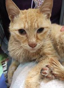 本当はもっと可愛いのよ～。