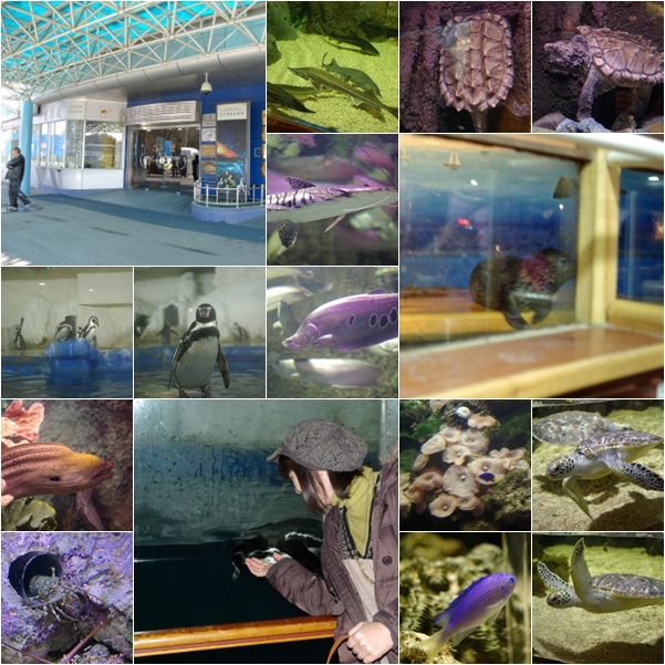 海底世界博物館１