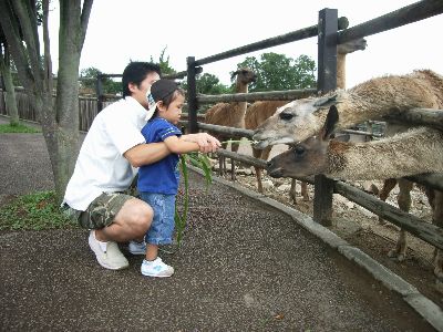 群馬サファリパーク