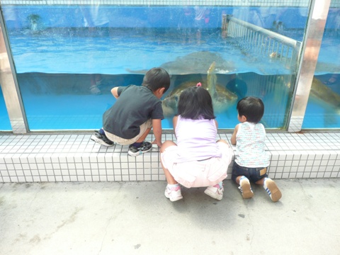 水族園