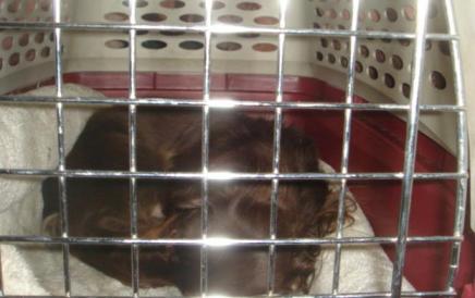 すやすや・・・