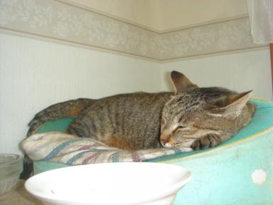 我関せず・・・