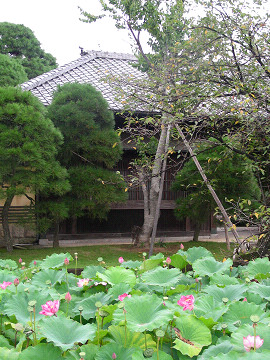 蓮池とお屋敷