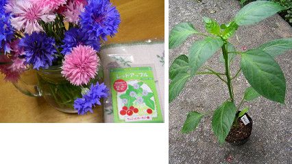 パルテールさんから