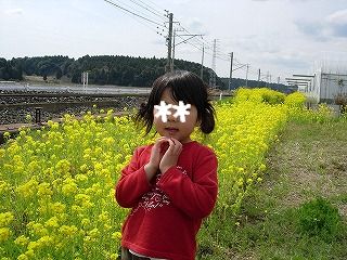 菜の花畑♪