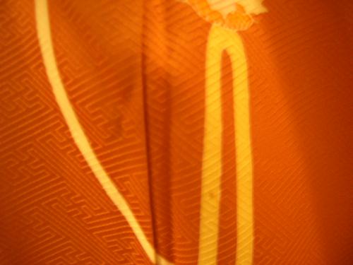 kimono4.jpg