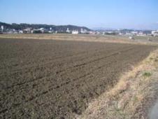 0601散歩１.jpg