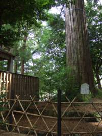 須佐神社