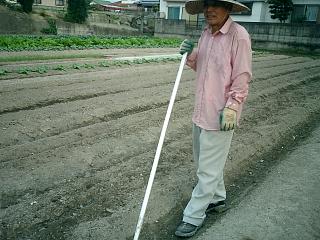 にんにくの植付け２