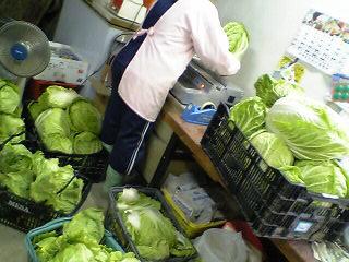 野菜達に囲まれて・・・