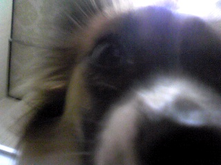 そりゃびっくり！