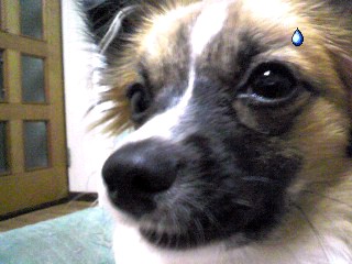 もういいって　汗