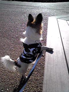 ばーばどこ？？