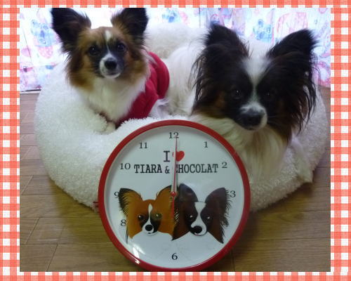 てぃ＆しょこ時計.jpg