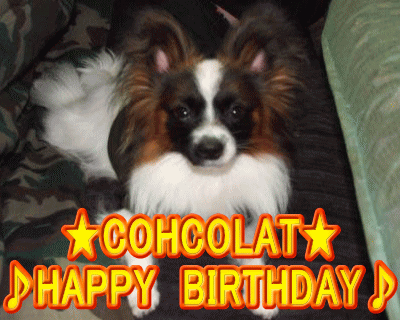 happybirthday-chocolat.gif