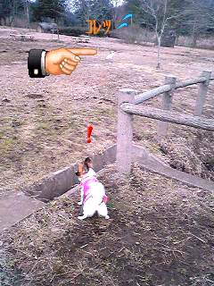 白鷺だっちゅうねん