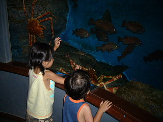 渋川マリン水族館