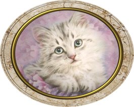 ペットショップ