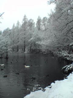 060121石神井公園_5