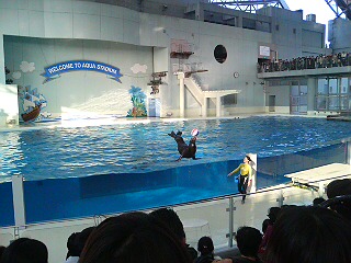 061103八景島シーパラダイス_2