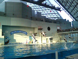 061103八景島シーパラダイス_3