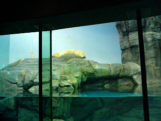 061103八景島シーパラダイス_5