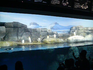 061103八景島シーパラダイス_6