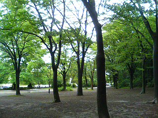 070715石神井公園_2