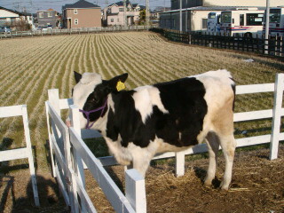 080308百草ファーム