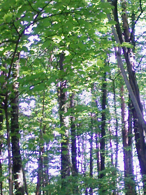 080601-082523.jpg