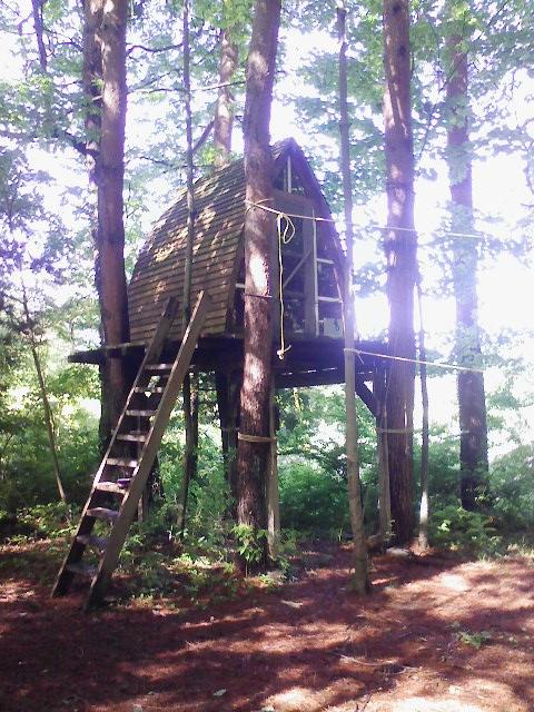 080601-081306.jpg