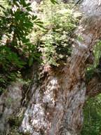 2DSCF0120.JPG